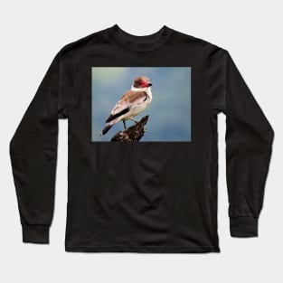 Exotic White Bird in Central America Photography Long Sleeve T-Shirt